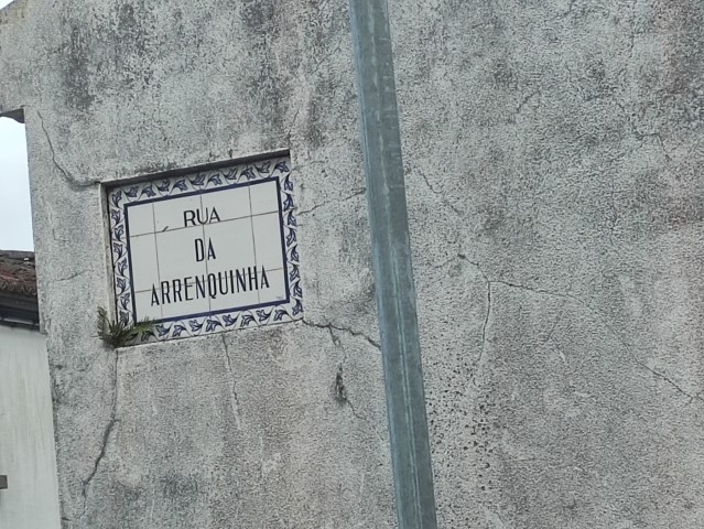 Fotografia de direito: Proc. n.º 1775/23.4T8PDL | Insolvência de Pedro Miguel Furtado Soares de Albergaria Pacheco